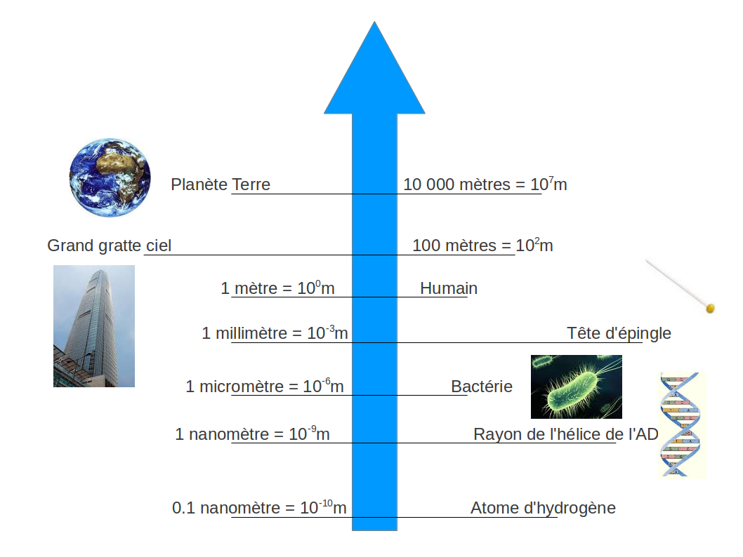 Échelle des longueurs. Attention, l'axe vertical est en échelle
logarithmique
