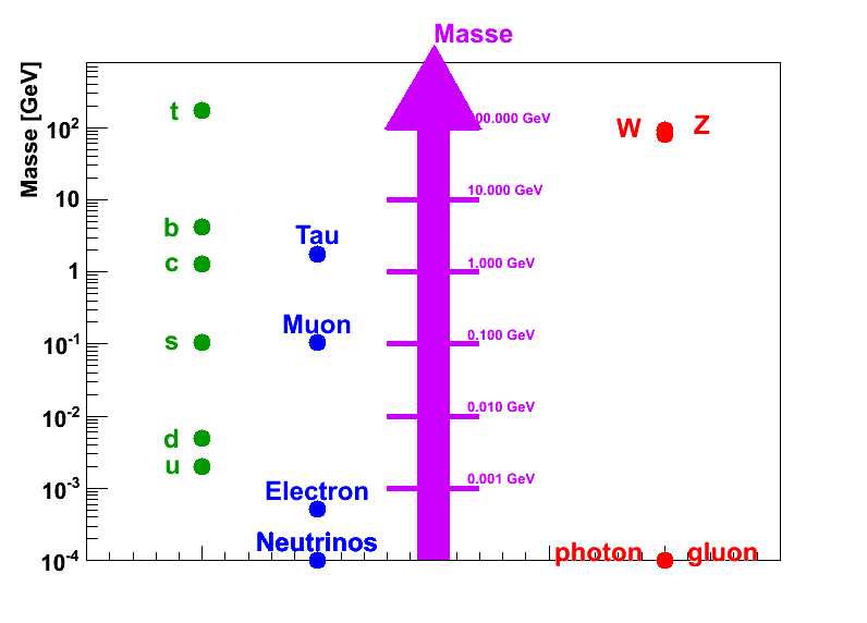 Les masses des particules du Modèle Standard